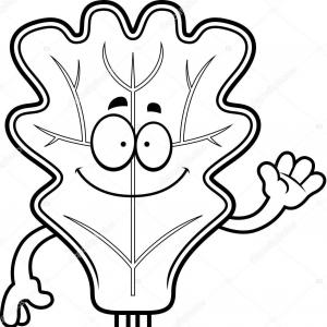 300x300 Hand Drawn Autumn Leaves Outline Collection Maple Oak Leaf Line