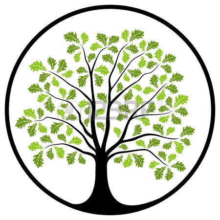 450x450 Free Clipart Line Drawing Live Oak Tree Collection