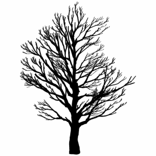 320x320 Hd Power Lines, Landscape, Silhouette, Trees, Electricity