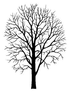 236x317 Best Bare Trees Images Pyrography, Drawing Trees, Drawings