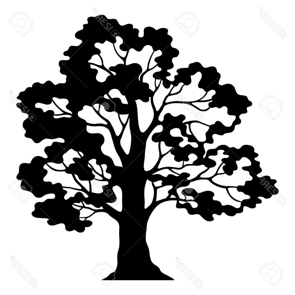 1024x1024 Huge Collection Of 'bare Oak Tree Drawing' Download More Than