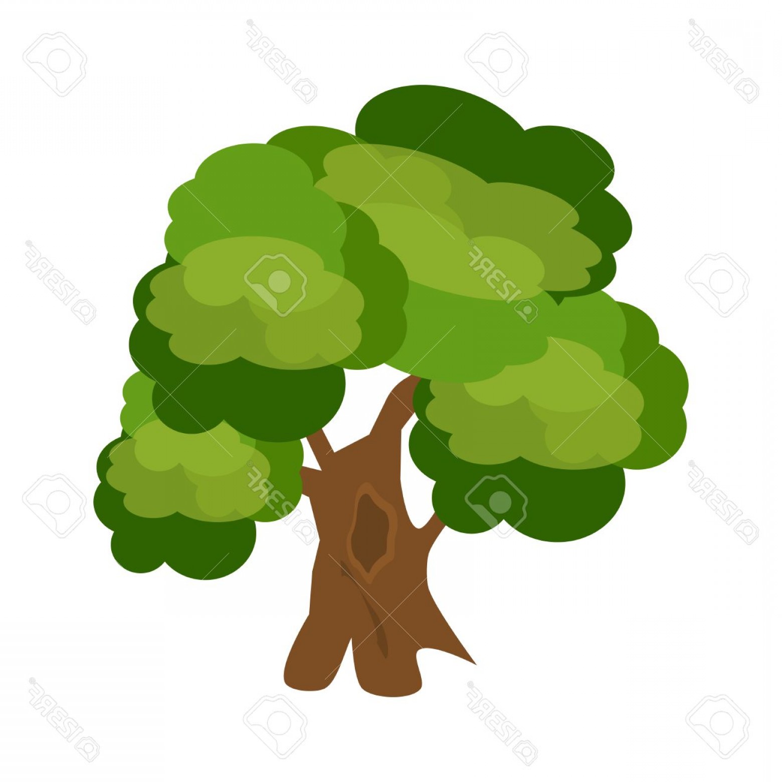 1560x1560 Photostock Vector Tree Nature Green Vector Green Tree Branch