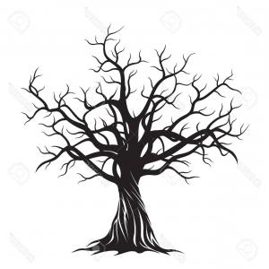 300x300 Stock Illustration Oak Tree Drawing Vector Logo Design