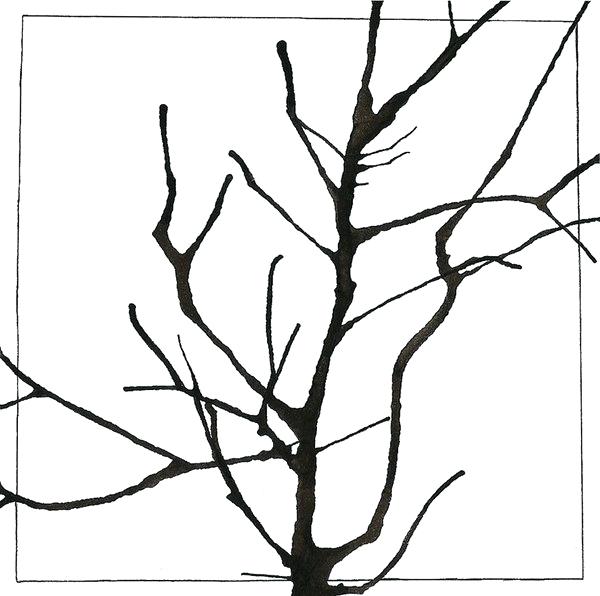 Oak Tree Branch Drawing | Free download on ClipArtMag