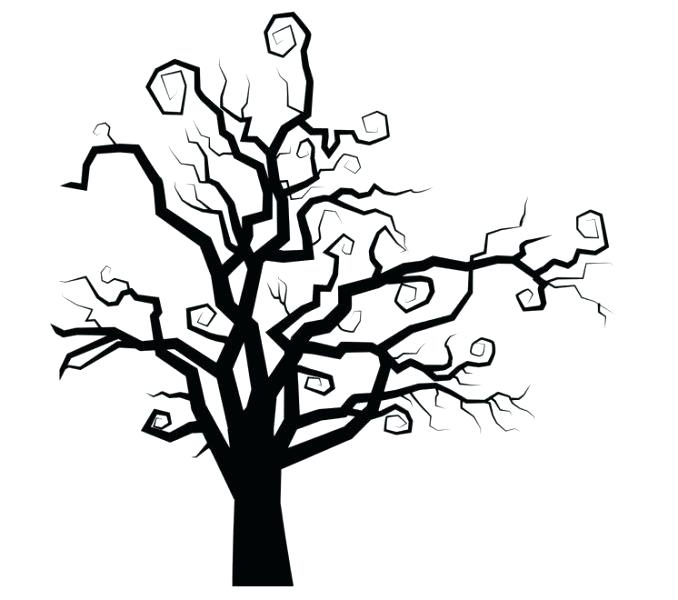 678x600 Oak Tree Line Drawing