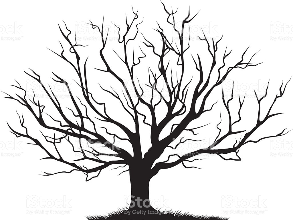 1024x770 Images Of Bare Tree Drawing