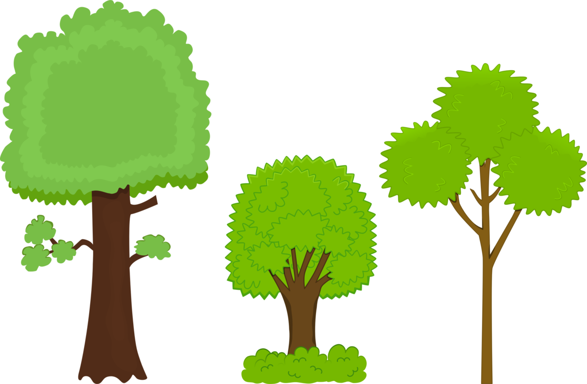 1146x750 Bark Drawing Tree Transparent Png Clipart Free Download