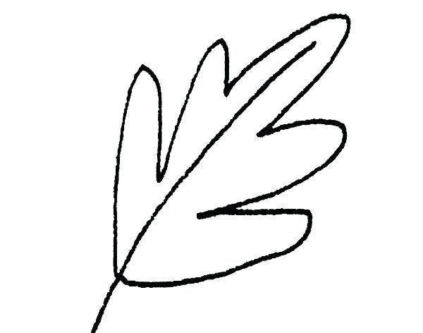 600x472 How To Draw Leafs Drawing A Leaf Draw A Tree Without Leaves Easy