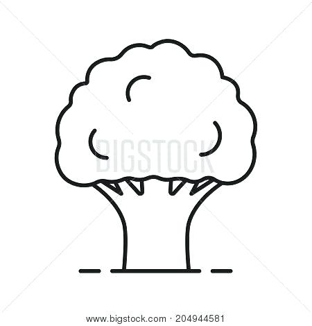 450x470 Oak Tree Outline Free Oak Tree Leaf Outline