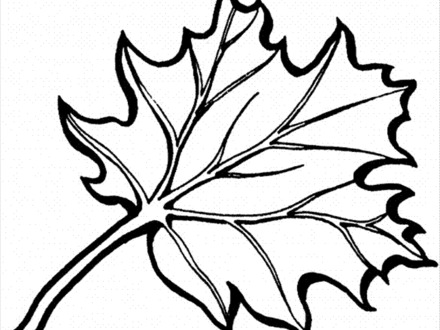 440x330 Oak Tree Coloring Page, Coloring