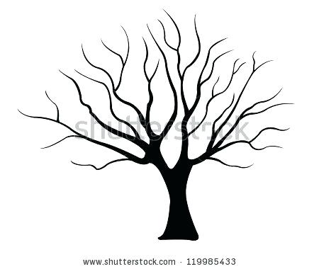 450x380 Tree Drawing No Leaves Tree With No Leaves Silhouette Stock Photo