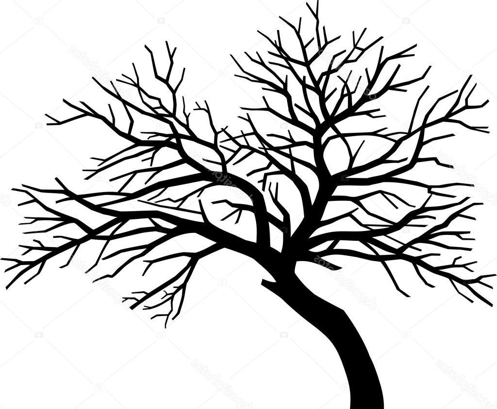 1023x841 Huge Collection Of 'bare Oak Tree Drawing' Download More Than