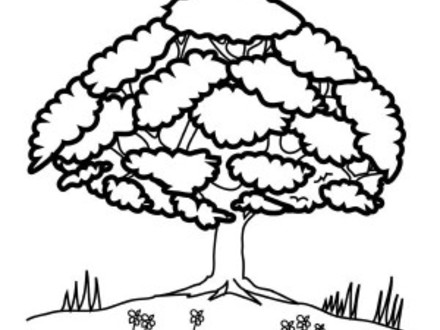 440x330 Oak Tree Coloring Page, Coloring