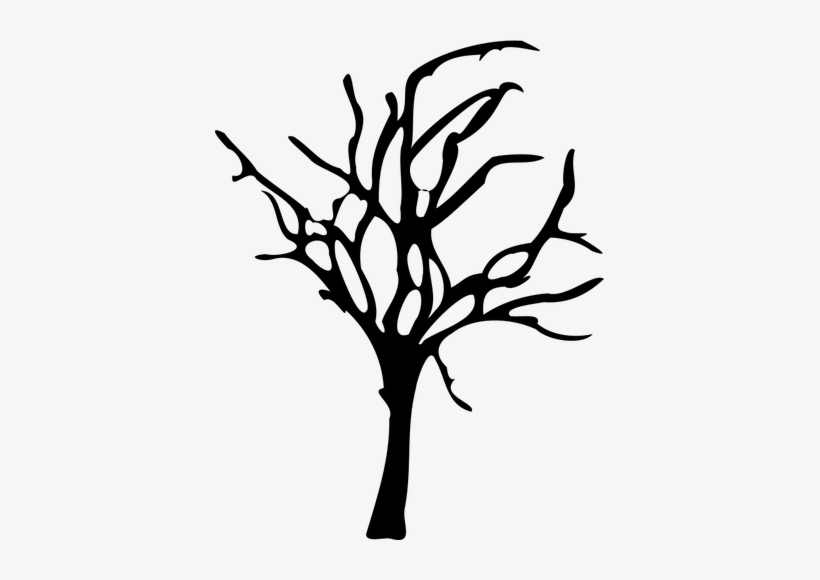 820x580 Oak Tree Silhouette Clip Art