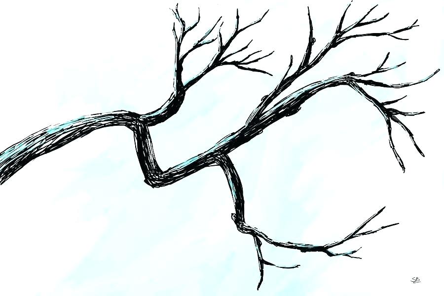 900x600 Drawing Tree Branches