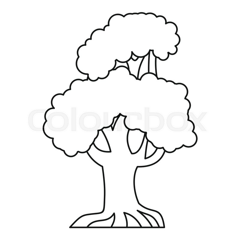 800x800 Oak Tree Icon Outline Illustration Of Stock Vector Colourbox
