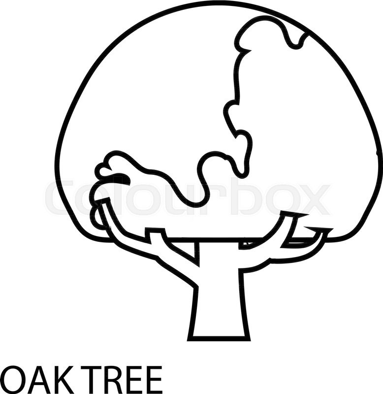 778x800 Oar Tree Icon Outline Illustration Of Stock Vector Colourbox