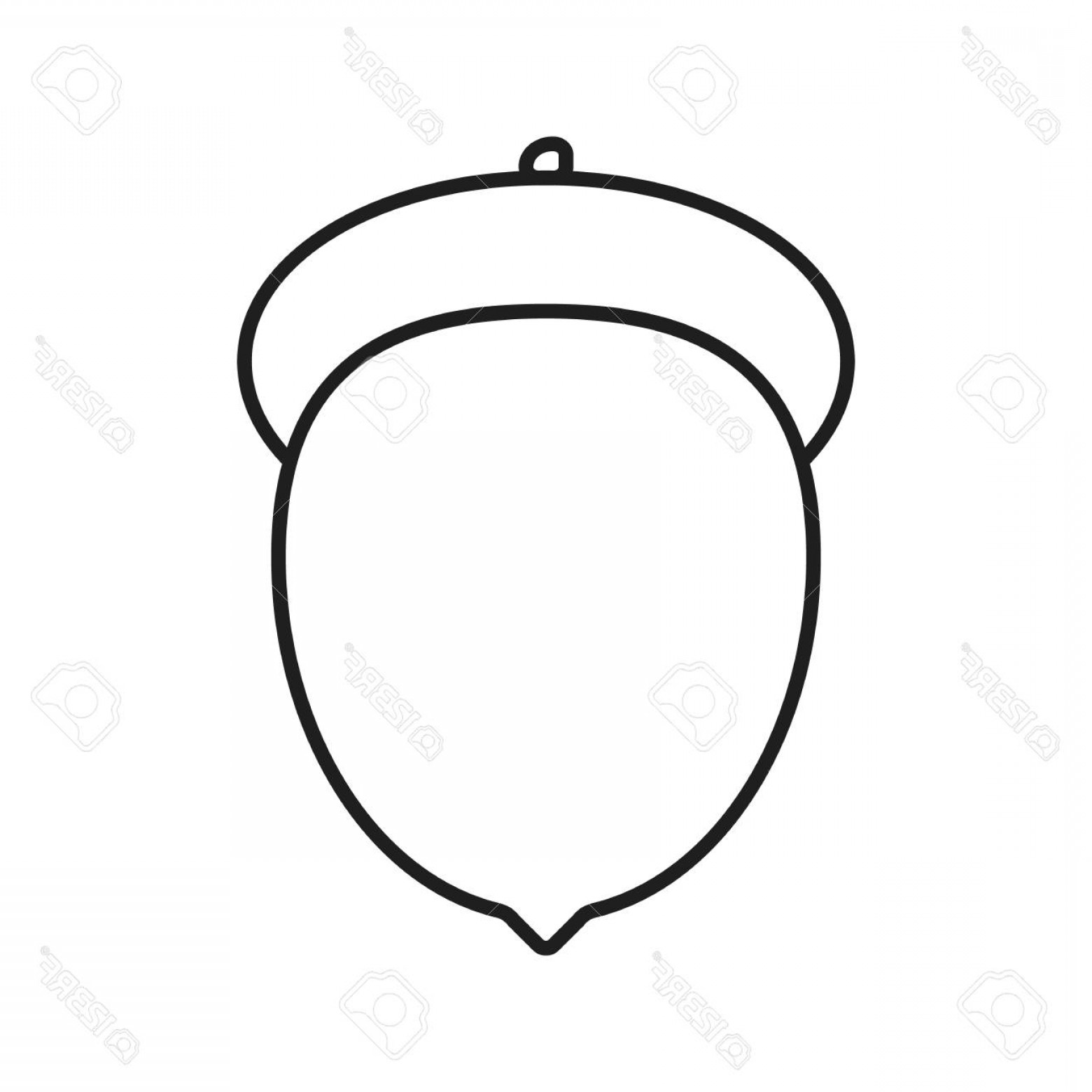 1560x1560 Photostock Vector Acorn Linear Icon Thin Line Illustration Oak