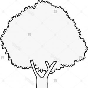 300x300 Photostock Vector Old Oak Tree Vector Drawing Sohadacouri