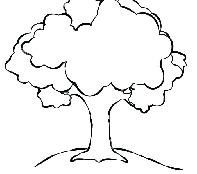 Oak Tree Outline Drawing | Free download on ClipArtMag