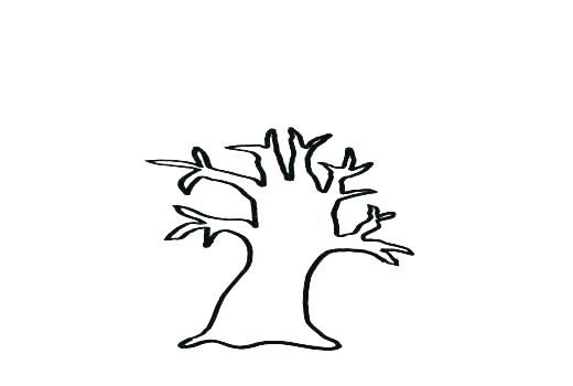 520x350 Bare Tree Outline