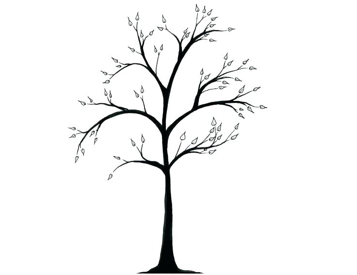 Oak Tree Outline Drawing | Free download on ClipArtMag