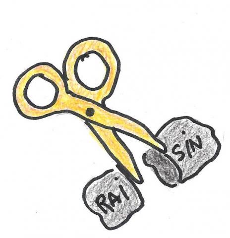 464x480 Grandma's Oatmeal Raisin Cookies Historic Union County