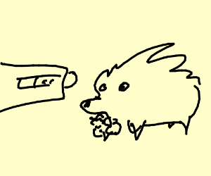 300x250 stoat and goat eat some oats