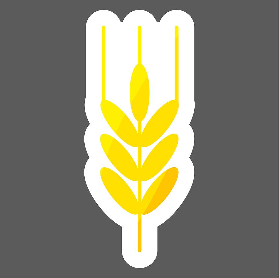 900x899 vector colored sticker icon ears of wheat, cereal ear of oats