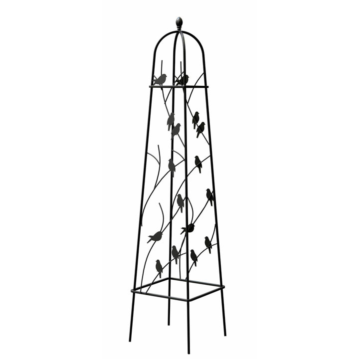 720x720 Perching Bird'