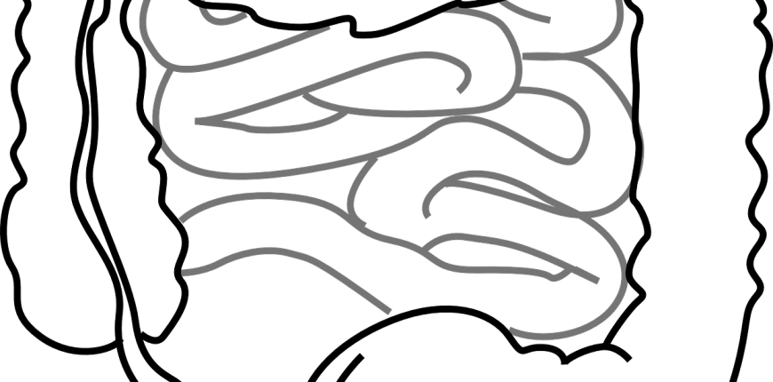 870x430 can intestinal microflora disorders lead to the development