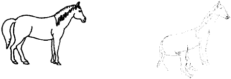 470x161 an original line drawing taken from the birmingham object