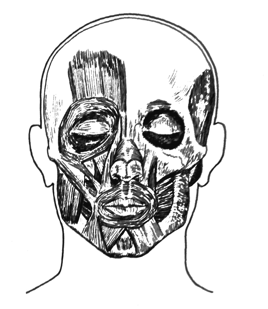 1143x1317 The Oboist Embouchure