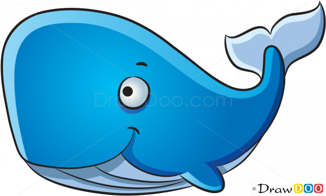 665x401 How To Draw Little Whale, Sea Animals