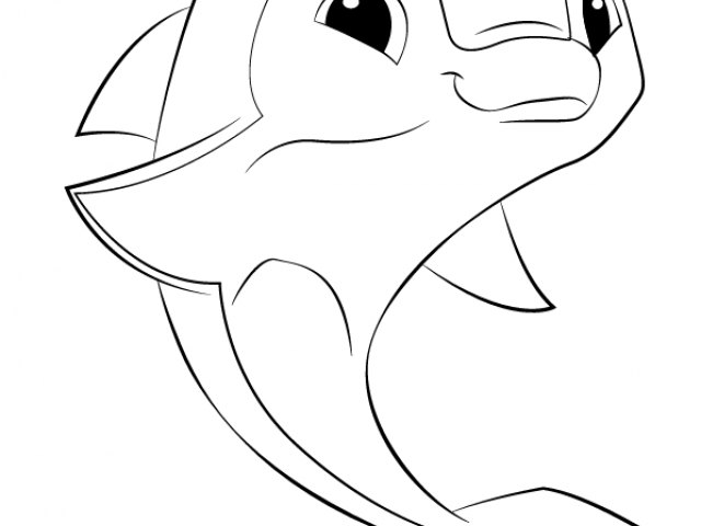 640x480 Drawn Dolphins Ocean Drawing