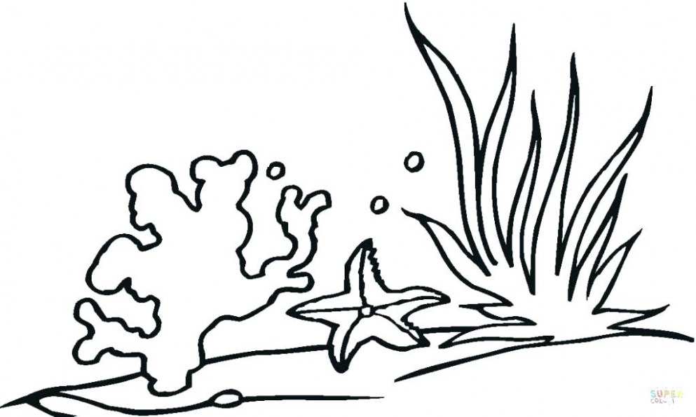 993x595 Ocean Coral Coloring Pages Lovely Underwater Plants Drawing