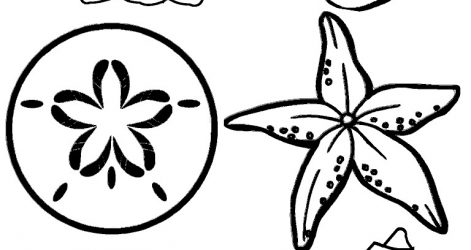 471x250 Sea Coral Reef Ocean Drawing Plants Animals Cartoon Ajedrezdeen