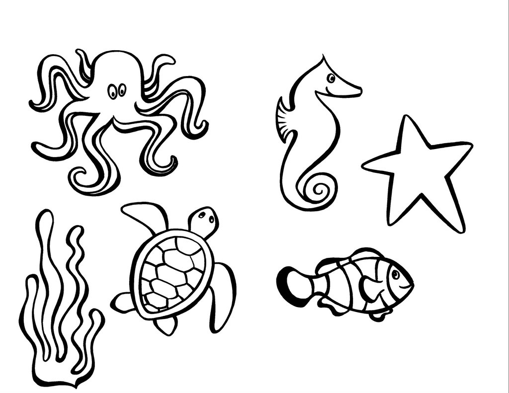 1024x791 Directed Drawing Sea Life For Free Download