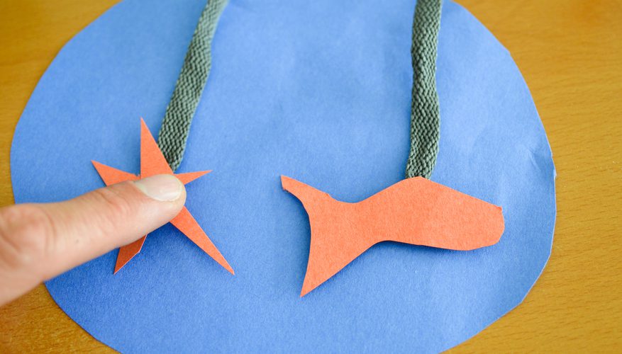 877x500 ocean habitat school project sciencing