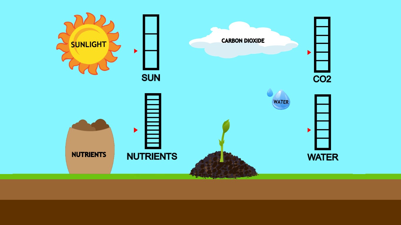 1364x768 project preview for ocean ecological pyramid coding for kids