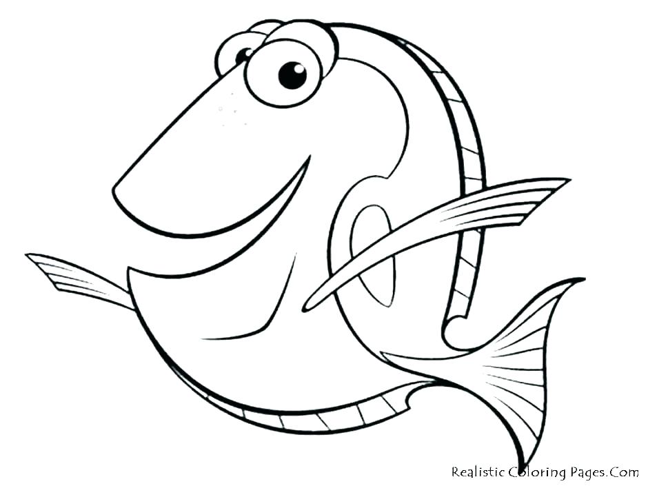 940x705 Coral Reef Coloring Pages Printable
