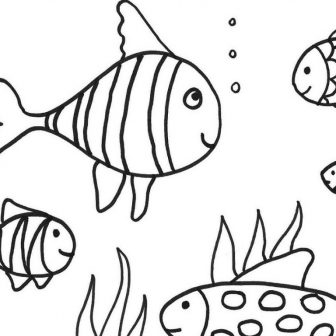 336x336 Coral Reef Turtle Drawing How To Make Hand Drawn Easy Images Sea