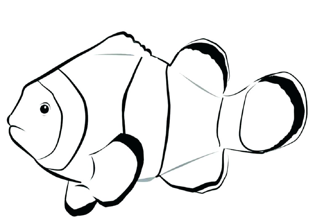 1024x728 Cute Fish Coloring Pages Ocean Fish Coloring Pages Fish Color