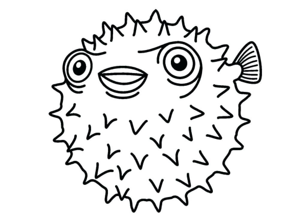 1024x725 Pufferfish Clipart Ocean Fish