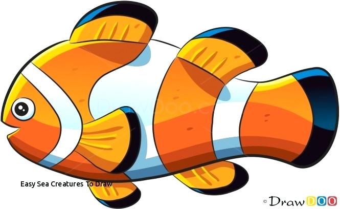 665x408 sea animals to draw template sea animals coloring pages wonderful