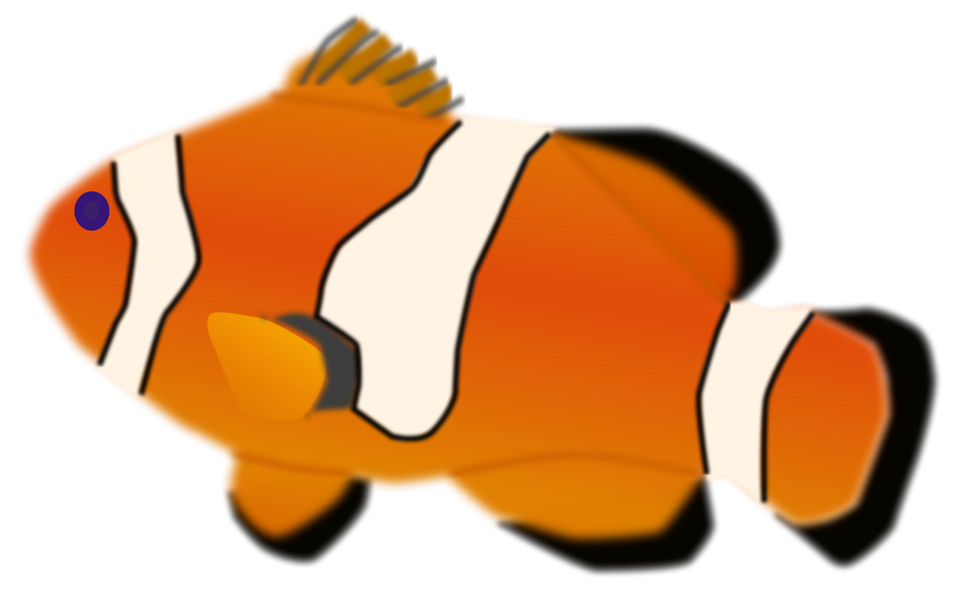 958x601 Collection Of Free Clownfish Drawing Ocean Fish Download On Ui Ex