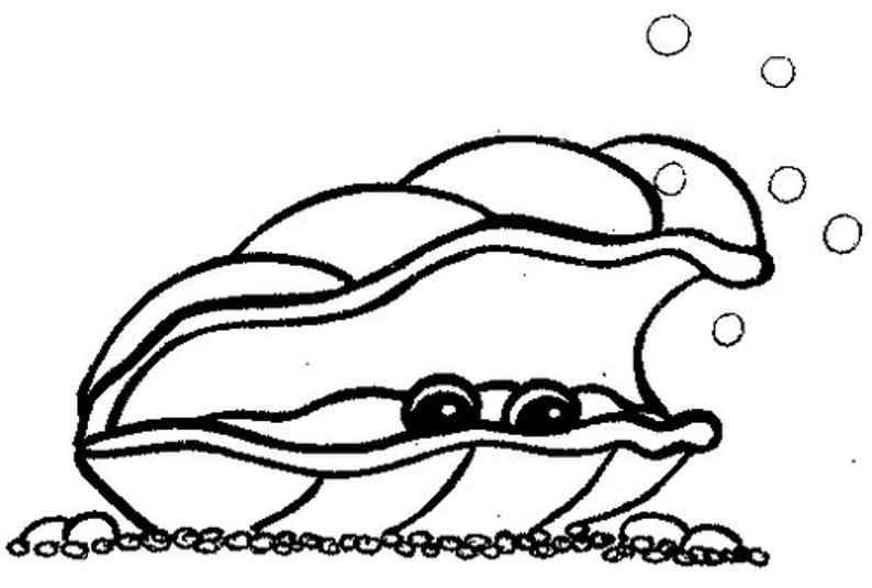 794x535 Clamshell Stamp Ocean Under The Sea Mermaid Beach Clam Etsy