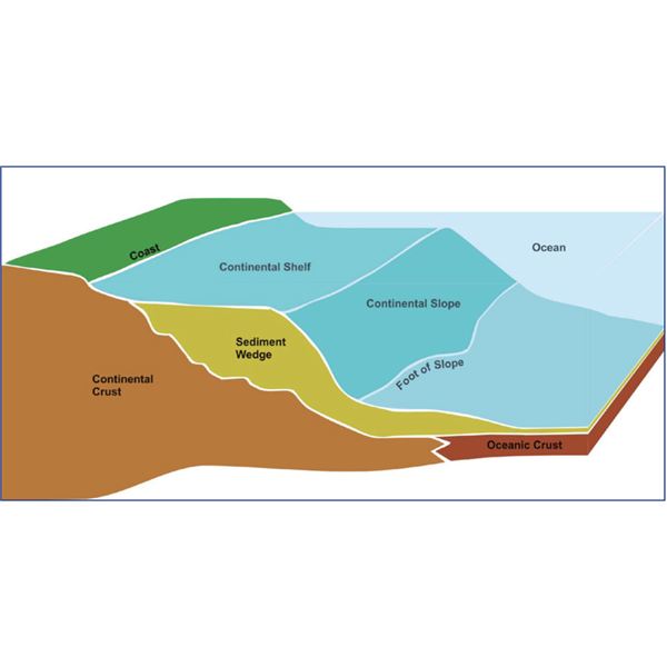 600x600 Ocean Floor Topography And Features Of The Ocean Floor