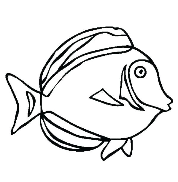 600x611 Coloring Pages Sea Creatures New Animals Printable Best Ocean