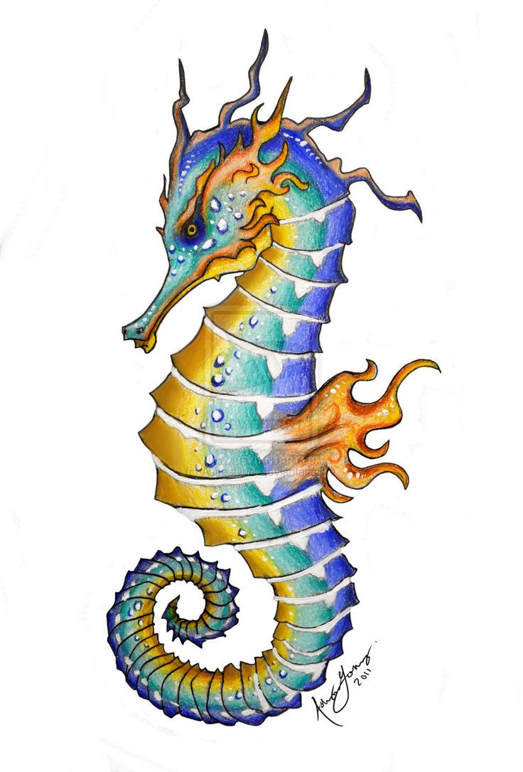 736x1085 king of seahorses